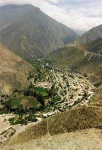 La presencia del Minicomplejo Agroindustrial Oleaginoso en el desarrollo rural del Perú - Image 1