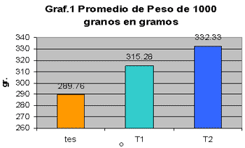 Ensayo de la eficacia de dos productos biotecnológicos orgánicos para acelerar la maduración, ganancia en peso y volumen en grano en cultivo de maíz - Image 1