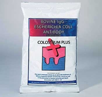 Realidades del sustituto de calostro bovino - Image 2