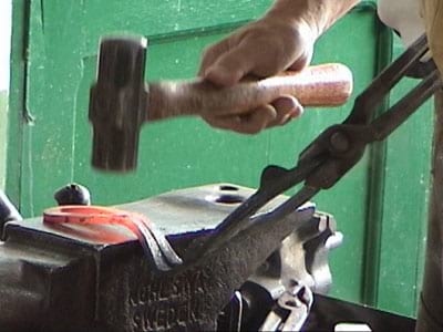 Laminitis: Un Evento Catastrófico - Image 7