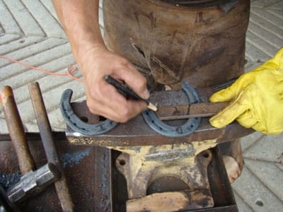 Laminitis: Un Evento Catastrófico - Image 12