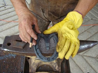 Laminitis: Un Evento Catastrófico - Image 13