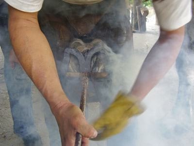 Laminitis: Un Evento Catastrófico - Image 18