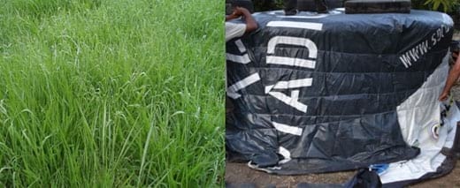 Economia de La Finca Lechera - Image 1