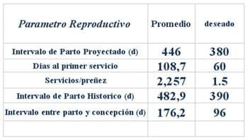 Economia de La Finca Lechera - Image 4