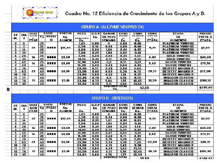 Evaluacion de la Enzima Proteasa en la Alimentación de los Cerdos - Image 10