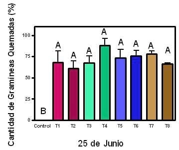 Eficiencia de coadyuvantes en el uso de herbicidas a diferentes dosis en un barbecho de trigo - Image 5