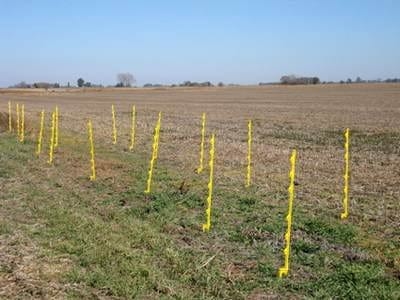 Eficiencia de coadyuvantes en el uso de herbicidas a diferentes dosis en un barbecho de trigo - Image 1