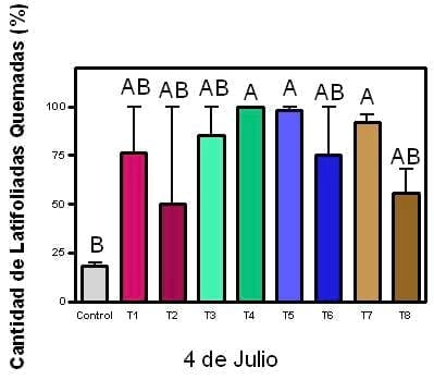 Eficiencia de coadyuvantes en el uso de herbicidas a diferentes dosis en un barbecho de trigo - Image 11