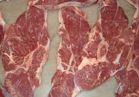 Hiper proteínas en terneros Holandos - Image 7