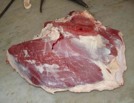 Hiper proteínas en terneros Holandos - Image 9