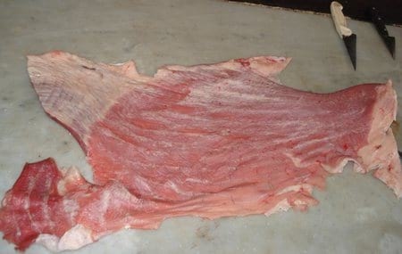 Hiper proteínas en terneros Holandos - Image 5