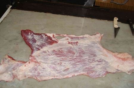 Hiper proteínas en terneros Holandos - Image 15