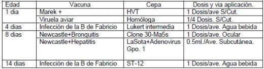 Síndrome Respiratorio - Image 1