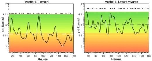 Impacto y gestión nutricional del estrés por calor en vacas de leche - Image 5