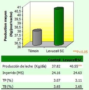 Impacto y gestión nutricional del estrés por calor en vacas de leche - Image 7