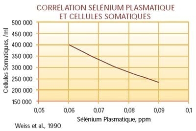 Impacto y gestión nutricional del estrés por calor en vacas de leche - Image 9