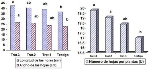 Manejo de la fertilización orgánica-mineral para la producción de tabaco negro de sol ensartado. - Image 1
