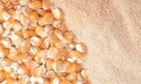 Enzima NSP mejora el desempeño y disminuye costos de alimento balanceado en cerdos en etapa de crecimiento y terminación - Image 1