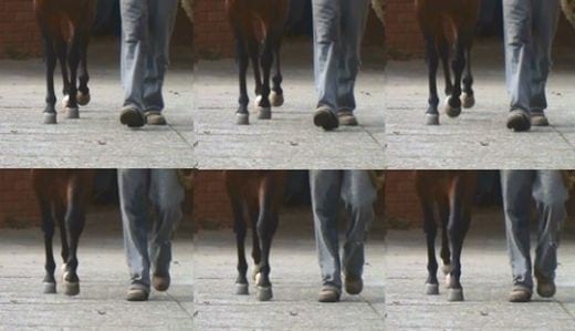 Por qué usar herraduras - Image 4