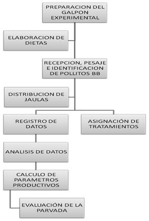 Evaluación de un complejo enzimático en alimentación de pollos de engorde en el Valle Central de Cochabamba (Colombia) - Image 1