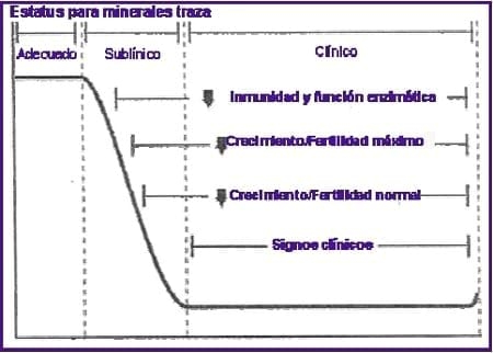 Macrominerales y minerales traza, suplementación e interacción en la nutrición de rumiantes en pastoreo en el tropico. - Image 8