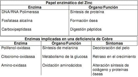 Macrominerales y minerales traza, suplementación e interacción en la nutrición de rumiantes en pastoreo en el tropico. - Image 13