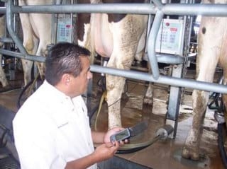 La Mastitis……Enemiga del Éxito Reproductivo - Image 5