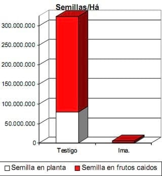 Potenciales de Reinfestación de Solanum Sisymbrifolium en el cultivo de Soja - Image 20