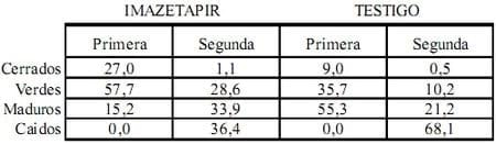 Potenciales de Reinfestación de Solanum Sisymbrifolium en el cultivo de Soja - Image 14