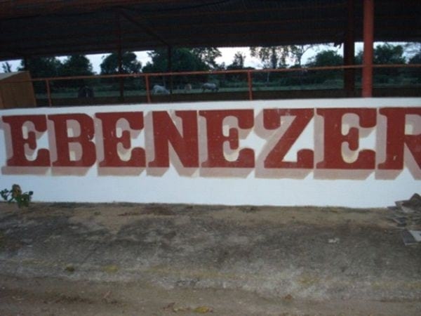 EXPERIENCIA CON PRV EN LA GANADERÍA EBENEZER PARA LA PRODUCCIÓN DE LECHE Y CARNE CON GANADO MESTIZO DE BIOTIPO CEBUÍNO EN EL MUNICIPIO DE MATURÍN, ESTADO MONAGAS, VENEZUELA - Image 1