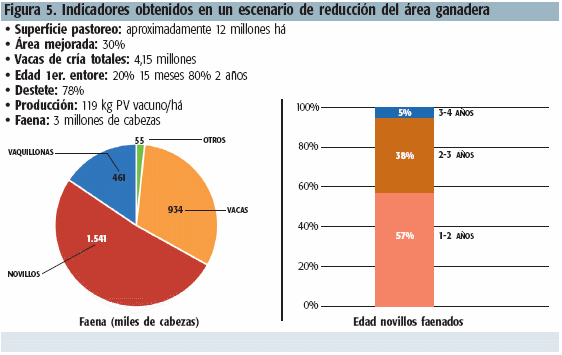 Desde la cría hasta la Invernada ¿Es posible tener una faena anual de tres millones de vacunos en el Uruguay? - Image 6