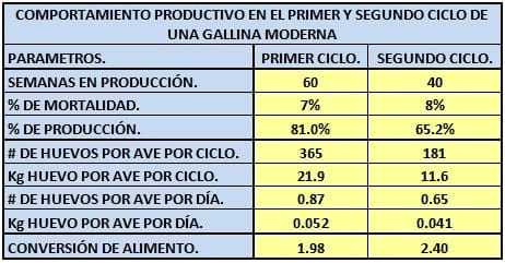 Muda forzada en Gallinas Productoras de Huevo para Plato (Pelecha) - Image 6