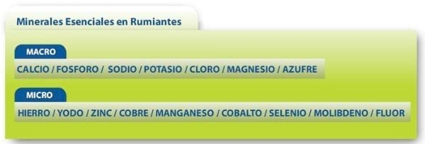 Suplementación vitamínico mineral inyectable en destete - recría de terneros - Image 1