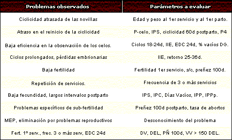 Pasos para lograr el diagnóstico y la solución del problema reproductivo a través de la evaluación de la eficiencia reproductiva - Image 1