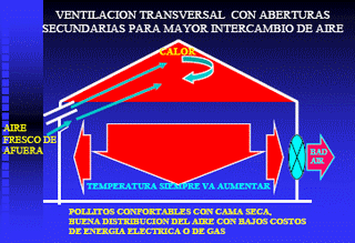 Las 8 Preguntas sobre Ventilación en Pollos más Discutidas en el Campo. (Actualización) - Image 7