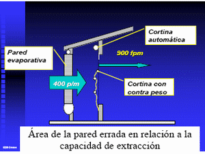 Las 8 Preguntas sobre Ventilación en Pollos más Discutidas en el Campo. (Actualización) - Image 8