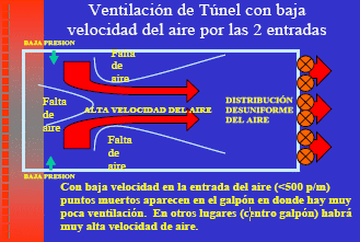 Las 8 Preguntas sobre Ventilación en Pollos más Discutidas en el Campo. (Actualización) - Image 16