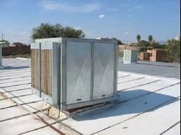 Foto - ventilacion en pollos de engorde