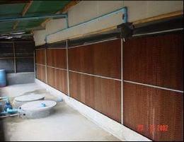 Las 8 Preguntas sobre Ventilación en Pollos más Discutidas en el Campo. (Actualización) - Image 13