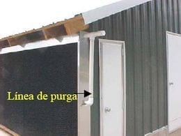 Las 8 Preguntas sobre Ventilación en Pollos más Discutidas en el Campo. (Actualización) - Image 14