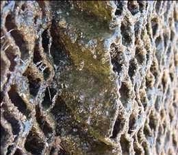 Las 8 Preguntas sobre Ventilación en Pollos más Discutidas en el Campo. (Actualización) - Image 15