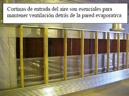 Las 8 Preguntas sobre Ventilación en Pollos más Discutidas en el Campo. (Actualización) - Image 9