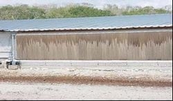 Las 8 Preguntas sobre Ventilación en Pollos más Discutidas en el Campo. (Actualización) - Image 11