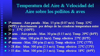 Las 8 Preguntas sobre Ventilación en Pollos más Discutidas en el Campo. (Actualización) - Image 3