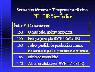 Las 8 Preguntas sobre Ventilación en Pollos más Discutidas en el Campo. (Actualización) - Image 20