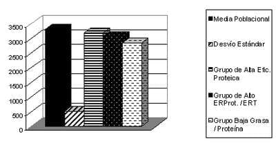 Mediciones de eficiencia nutricional en Pollos Parrilleros de acuerdo al objetivo de producción - Image 4