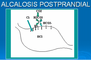 Nuevas tecnologías en la utilización de acidificantes en agua y en alimentos - Image 3