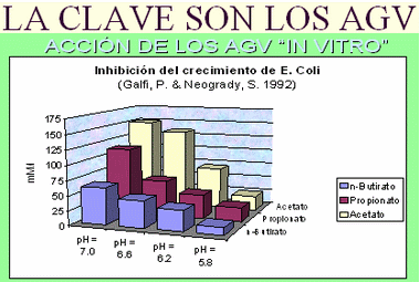 Nuevas tecnologías en la utilización de acidificantes en agua y en alimentos - Image 4