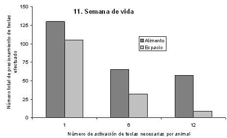 El Bienestar Animal aplicado al conejo. Parte 1: Sistemas de manejo para conejos de carne desde el punto de vista etológico - Image 2